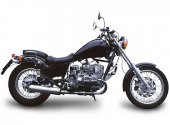 2012 Ural Wolf 750 Solo photo